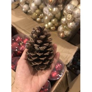 Quả Thông Khô Trang Trí Noel