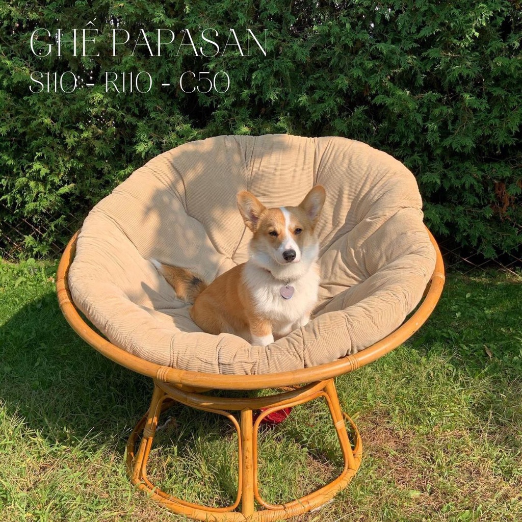 GHẾ PAPASAN/ GHẾ LƯỜI ĐỌC SÁCH, XEM PHIM, THƯ GIÃN