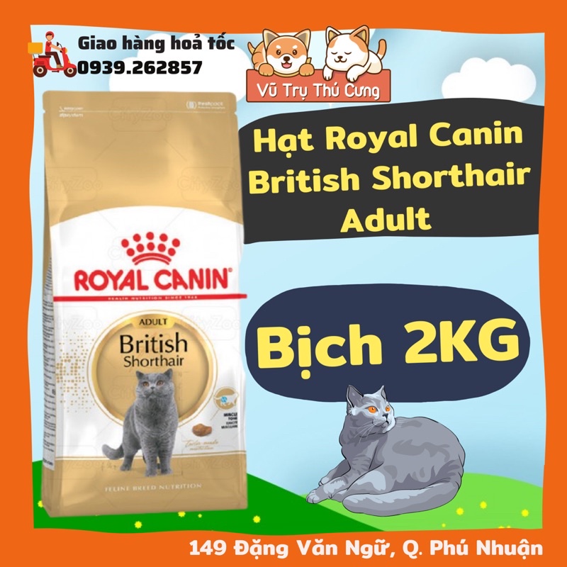 Hạt Royal Canin British Shorthair dành cho Mèo Anh Lông Ngắn trưởng thành