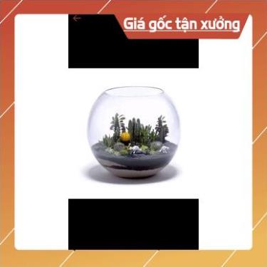 Bể cá mini tròn, chậu thủy tinh tròn 15cm