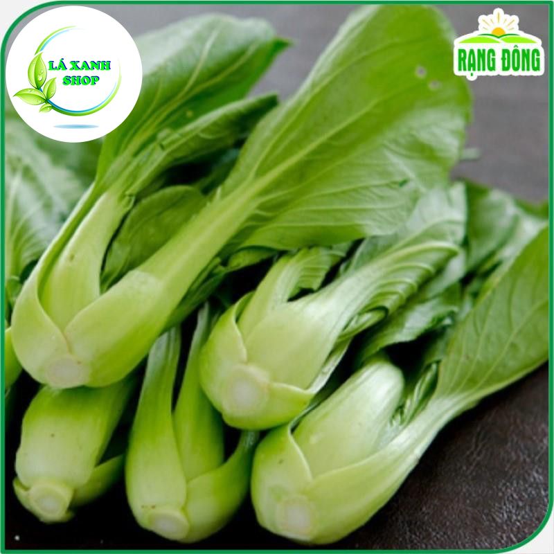 Hạt giống Cải Thìa Cọng Xanh (Cải Chip) Chịu Nhiệt, Dễ Trồng (gói 20 gram) - Hạt giống Rạng Đông