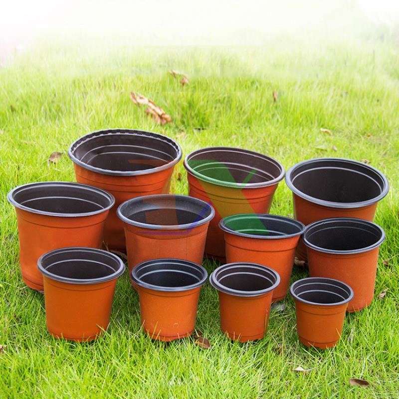 Set 10   chậu nhựa trồng cây hai màu, chậu nhựa mỏng màu nâu dùng trồng cây con, ươm hạt, ươm cây