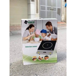 Bếp từ ARBER AB300