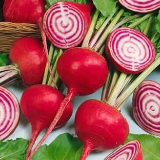 Hạt giống củ cải đường (củ dền đỏ) 100 hạt
