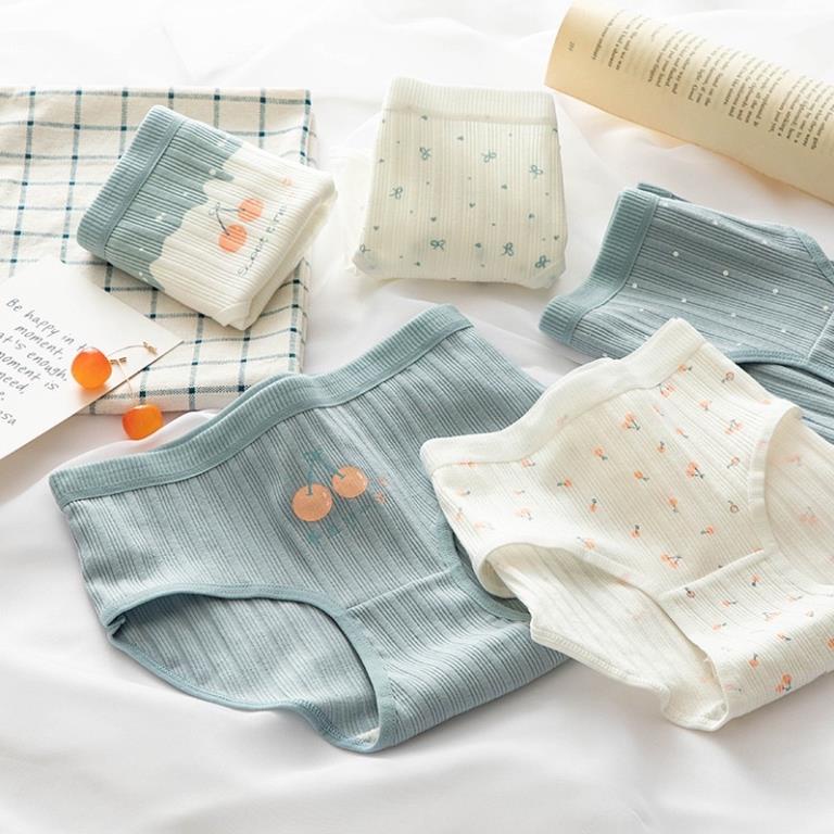 [Giá sỉ] Quần Lót Cotton Gân Tăm Hoạ Tiết Cherry Tông Xanh Trắng Cute