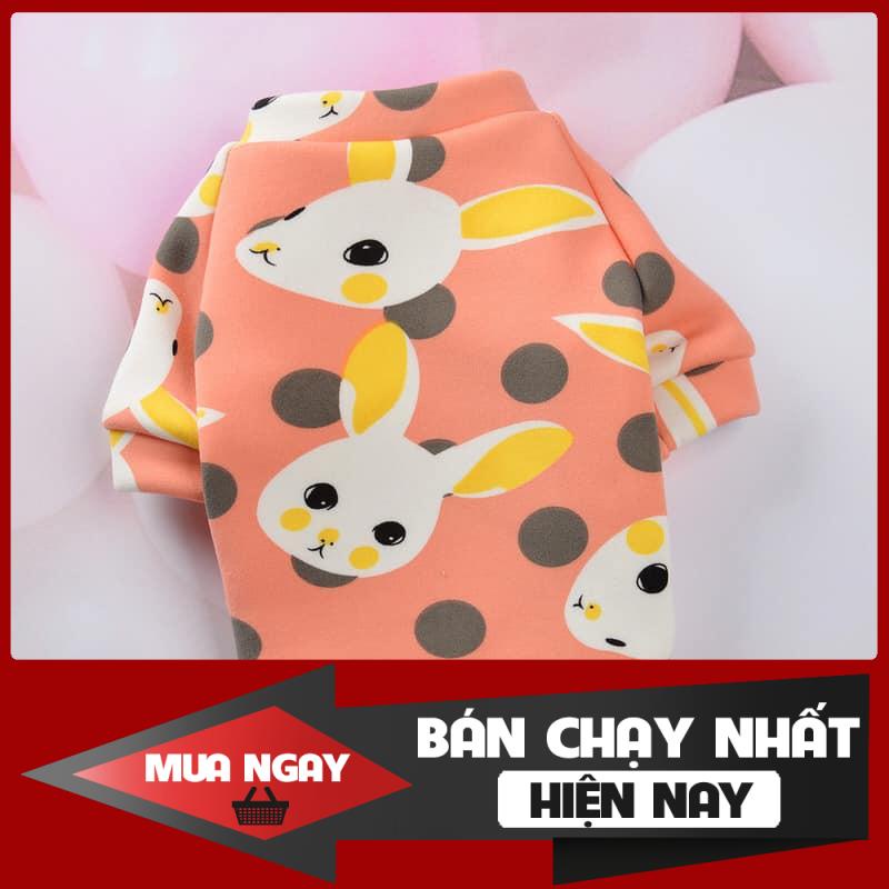 [❌GIÁ SỈ❌] Áo 2 chân chất siêu đẹp giá siêu rẻ ( Giao ngẫu nhiên ) ❤️