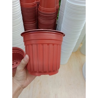 Chậu nhựa vành nâu - trắng size 150x125mm