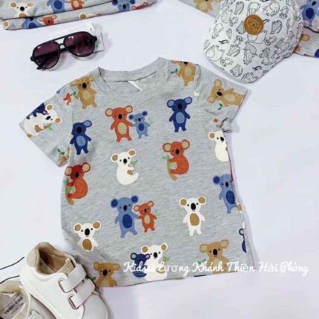 Áo phông xám gấu koala cho bé HM size 9m-4y, hàng xách tay Mỹ