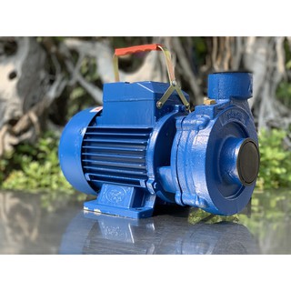 Máy bơm ly tâm 750W- Máy bơm nước CÁ SẤU  DK22