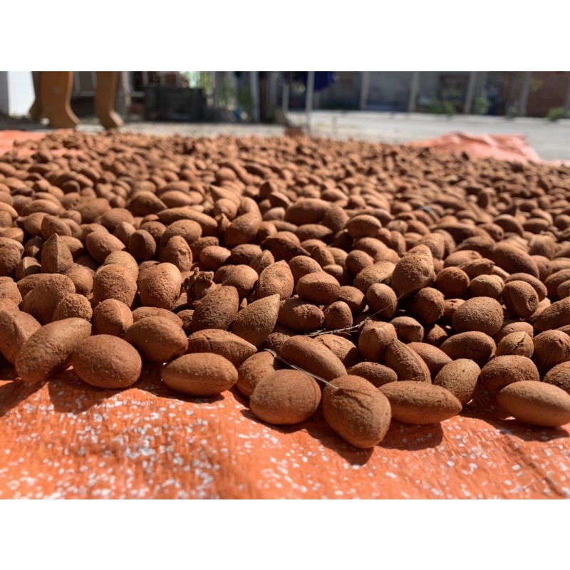 SAY LÔNG RỪNG/ ĐẶC SẢN VĨNH HY