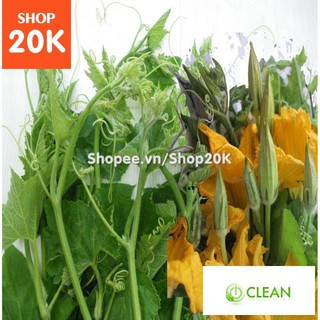 Hạt giống Bí đỏ ăn đọt, bông