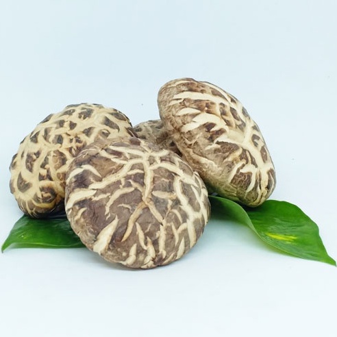 Nấm bông khô gói 100g