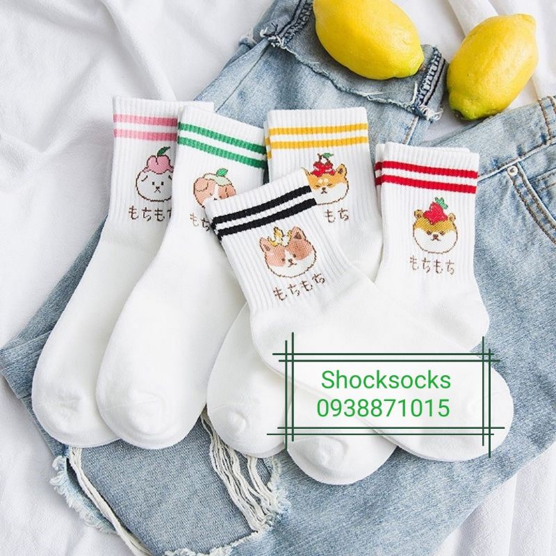 1 ĐÔI TẤT VỚ CAO CỔ 2 SỌC CÚN HOÀNG GIA