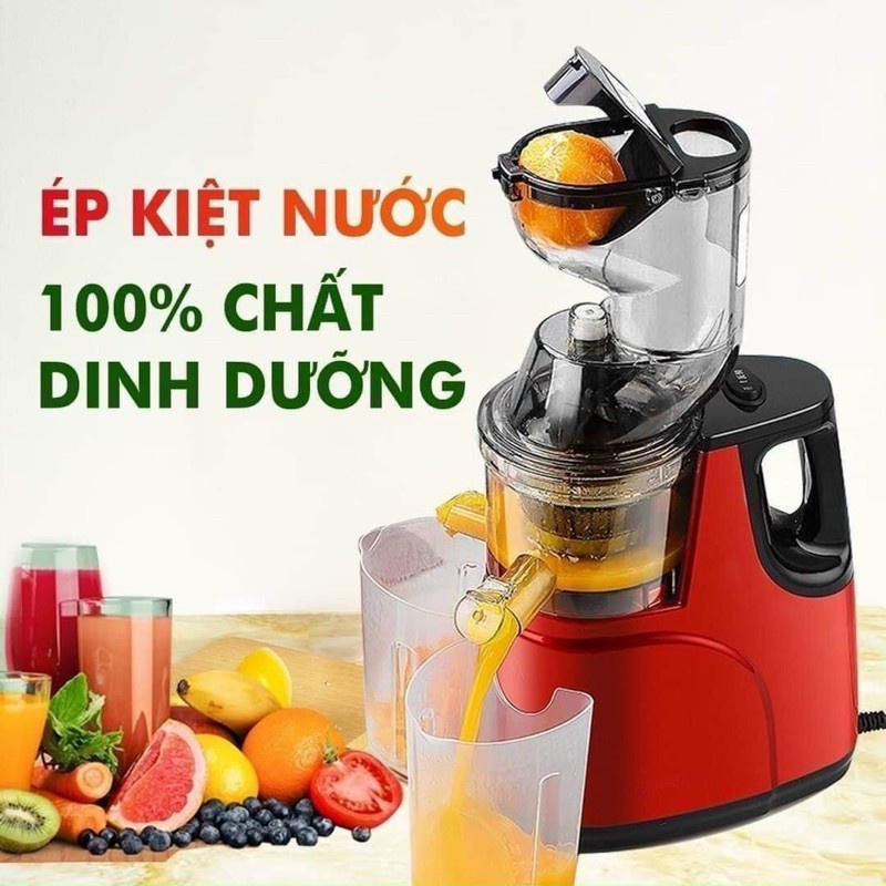 Máy ép chậm hoa quả Hongxing RH312 -Máy Ép Trái Cây Giữ 95% Lượng Nước,Tặng Kèm 2 Cốc Đựng
