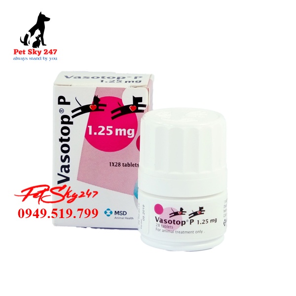 Thực Phẩm Chức Năng Vasotop P 1,25 Mg Hỗ Trợ Tim Trên Chó Mèo Hộp 28 Viên