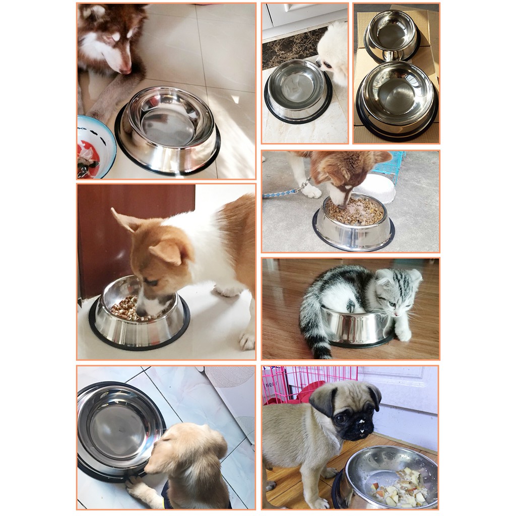 BÁT ĂN CHO THÚ CƯNG - HAYUMI PETSTORE