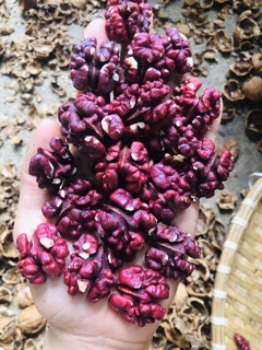 QUẢ ÓC CHÓ ĐỎ ( ÓC CHÓ MỸ )( 1kg)