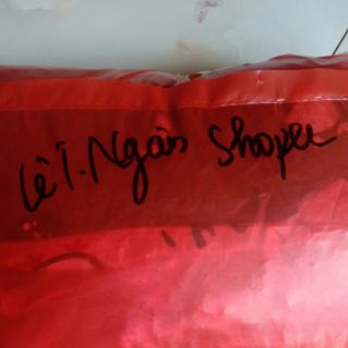 Lê thị ngân