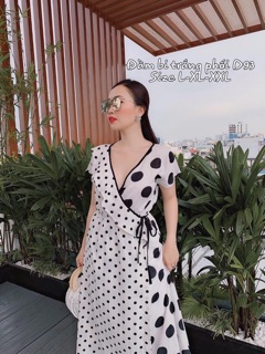 Đầm chấm bi bigsize