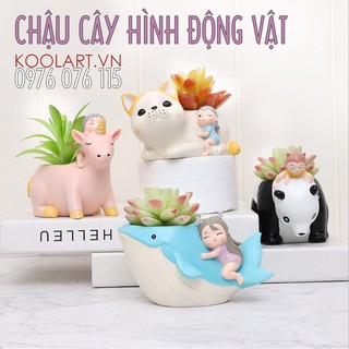 Chậu cây mini hình động vật hoạt hình dễ thương - chậu hoa để bàn đáng yêu cute