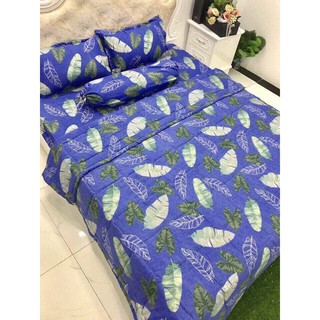 Set chăn ga gối đũi 4 món.