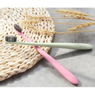 Bàn chải đánh răng lúa mạch 1 cây