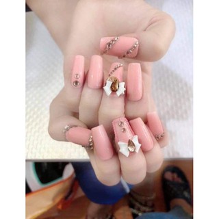 hoa bột móng kiểu NN