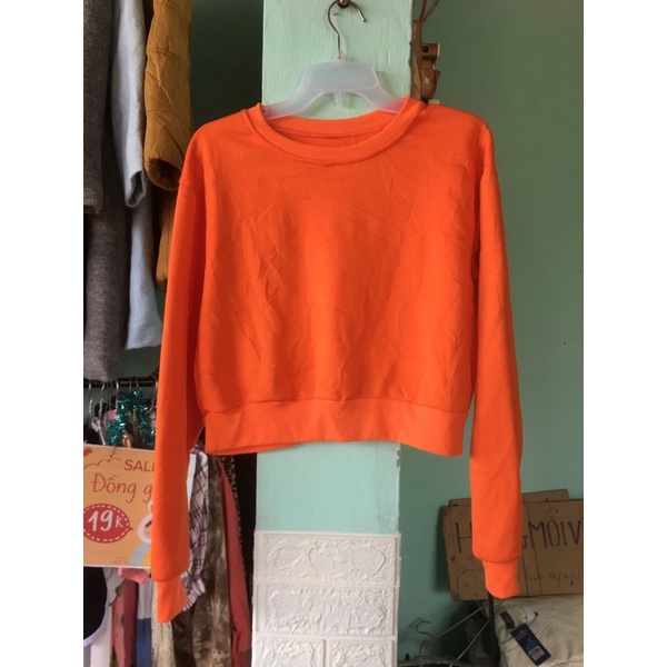 Áo nỉ hai lớp lót lông