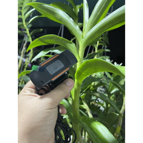 Webcam 720p đen đỏ - kẹp màn hình