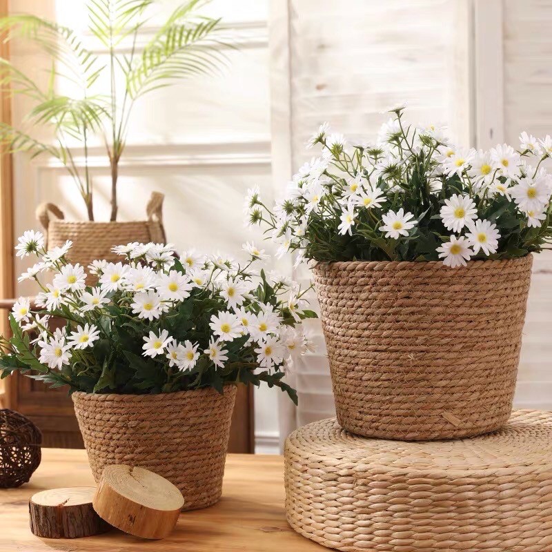 Cúc họa mi lụa cao cấp