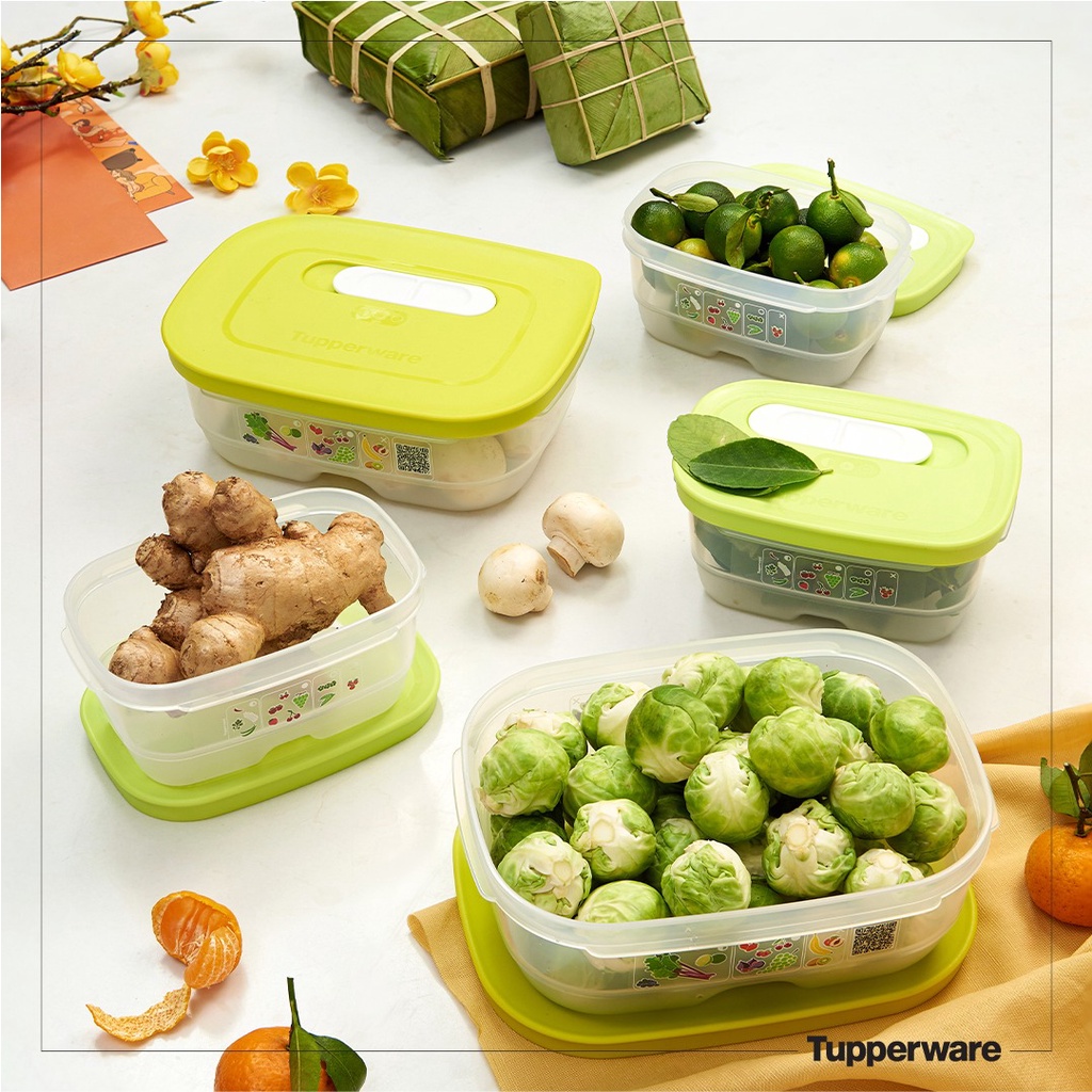 Bộ hộp Trữ mát có nút hô hấp Tupperware Ventsmart Five Star
