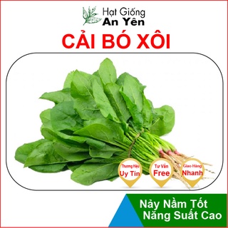 Hạt giống Cải Bó xôi, nhanh thu hoạch, dễ trồng, nảy mầm và năng suất cao