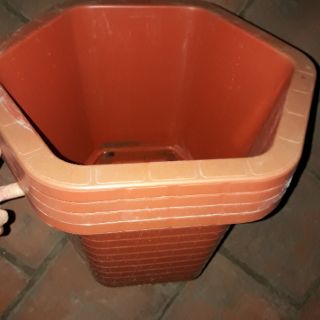 Chậu nâu 31cm- combo 20 cái