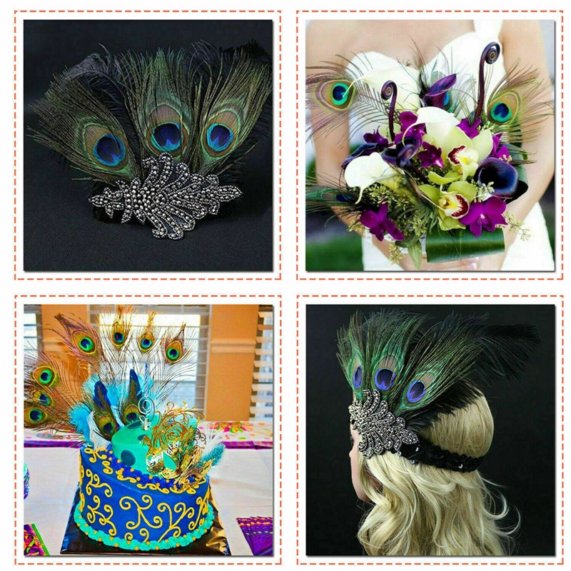 Bộ 5 Lông Công Tự Nhiên Dùng Trang Trí halloween / Giáng Sinh / Tiệc Cưới