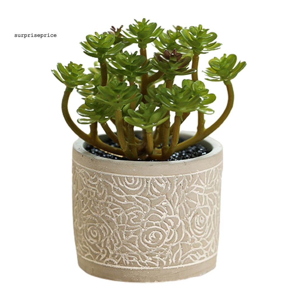 Kệ Để Chậu Cây Bonsai Mini Thân Thiện Với Môi Trường Dùng Trang Trí Bàn Làm Việc