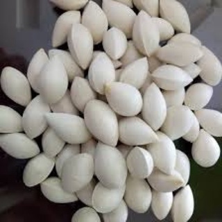BẠCH QUẢ loại 1( khô, mới, to đều) [500g]