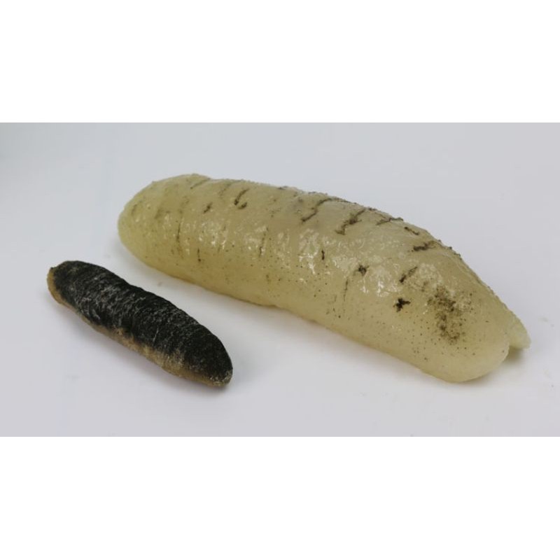 Hải sâm khô Úc ( 100g size 10 - 12 con ) | BigBuy360 - bigbuy360.vn