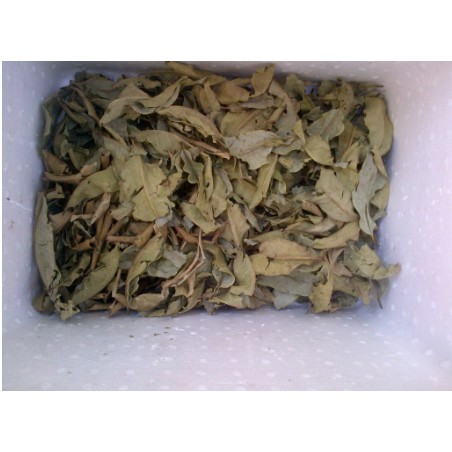 Lá vối khô 1kg hàng loại 1