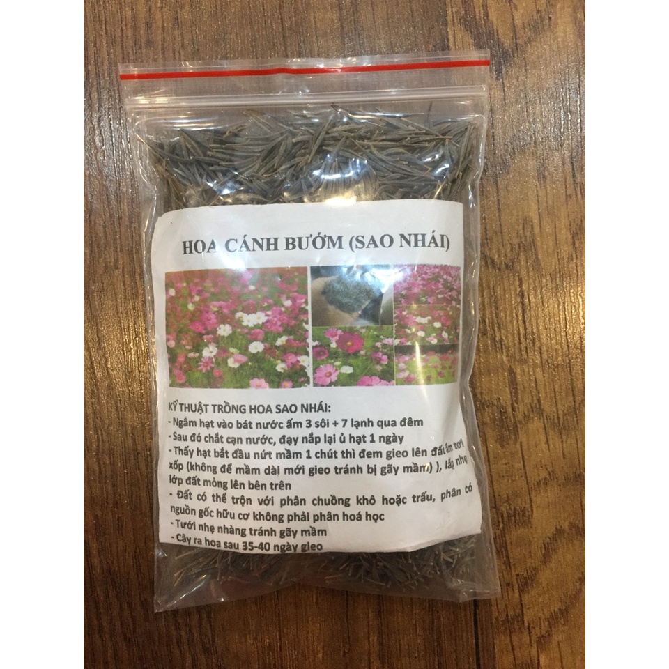 Hạt giống hoa sao nhái - cánh bướm mix màu GÓI 2 LẠNG nhiều hạt  đẹp tỷ lệ nảy mầm cao dễ trồng HSN2022