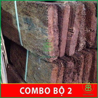 Combo 2 Dớn Bảng , Trồng, Ươm, Chiết Lan Đã Qua Xử Lý - Set 2 Tấm