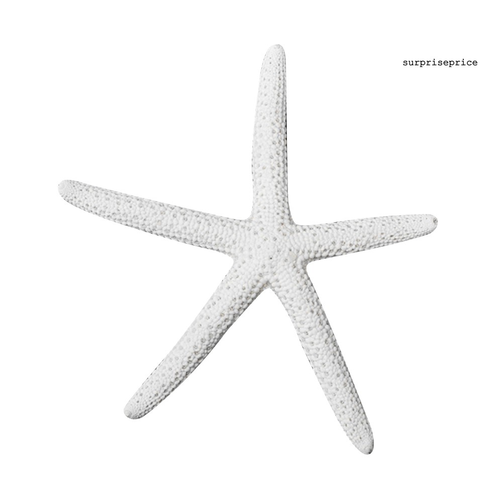 Sao Biển Nhân Tạo Bằng Nhựa Thân Thiện Với Môi Trường