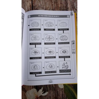 Tứ Bộ Y Điển - Mật Pháp Và Thực Dung (Tập 1)