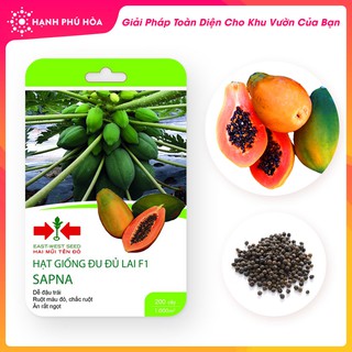 Hạt Giống Đu Đủ Lai F1 SAPNA 4 Hạt/Gói- Dễ Đậu Trái, Ruột Màu Đỏ, Chắc Ruột. Ăn Rất Ngọt