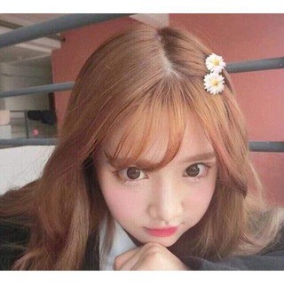 Set 2 kẹp tóc hoa cúc họa mi