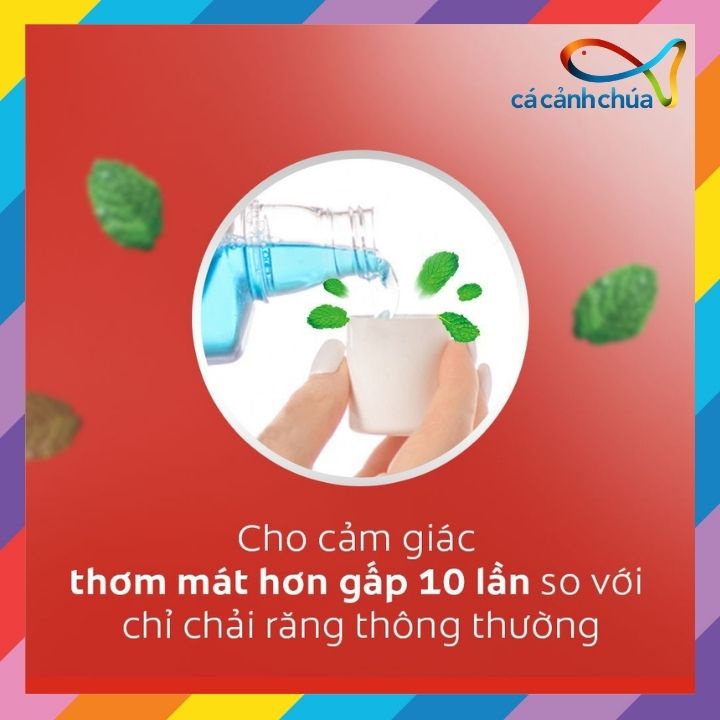 Combo 2 nước súc miệng Colgate diệt 99% vi khuẩn Plax bạc hà 500ml - Thái Lan
