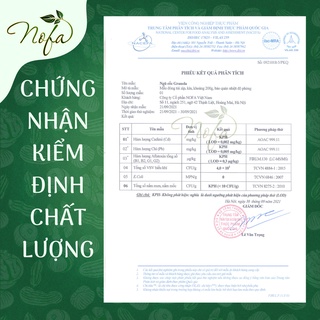 Granola siêu hạt nofa 500g 90% hạt, nhiều macca, óc chó đỏ - ảnh sản phẩm 5