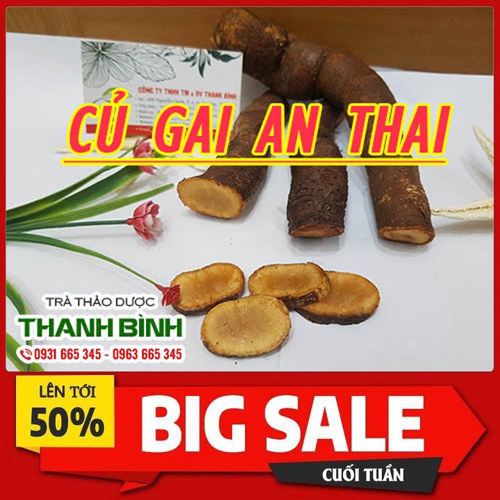 Củ Gai An Thai Tươi 500gr - Hàng Loại 1 Chất Lượng Nhất