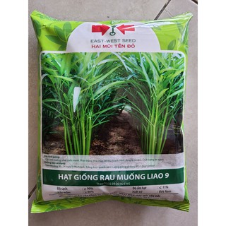 Hạt giống rau muống Liao Hai muỗi tên đỏ gói 1kg