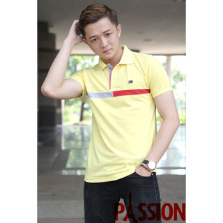 Áo thun cổ bẻ Tom Phối Sọc nam