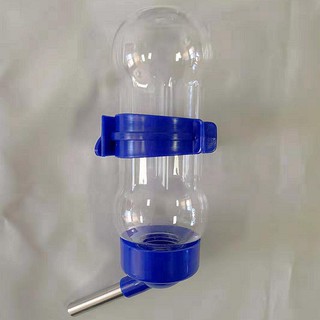 Bình nước cho hamster, bear